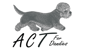 ACT For Dandies